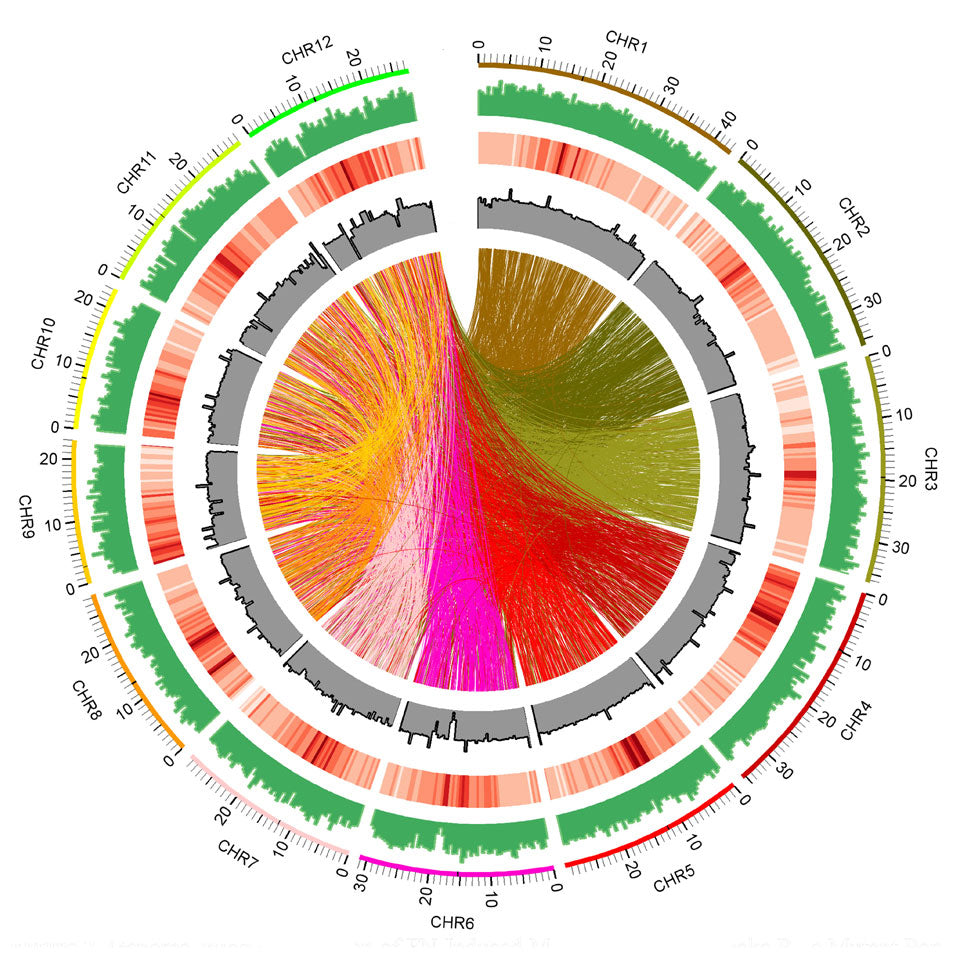 Whole Genome Sequencing