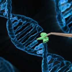 Genome Editing