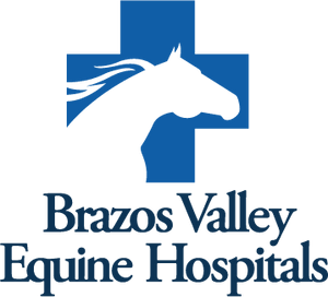 مستشفيات وادي برازوس للخيول